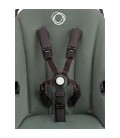 BUGABOO FOX CUB verde bosque
