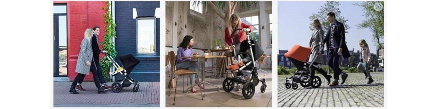 BUGABOO CAMALEON 3